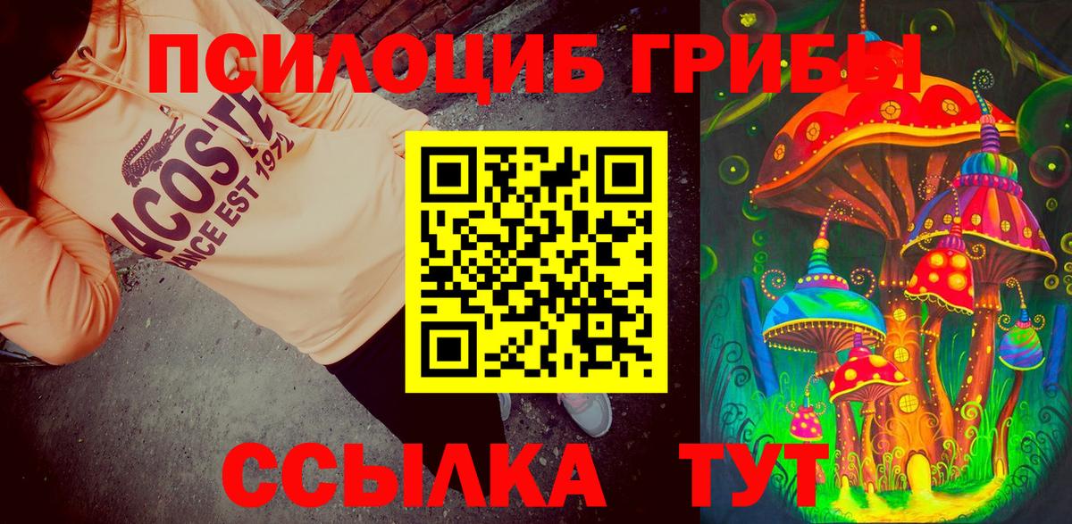 Псилоцибиновые грибы ЛСД  Псилоцибиновые грибы Psilocybe  Петрозаводск  Вход с VPN 